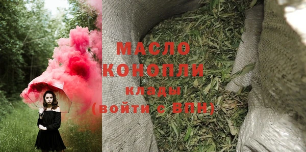 молекула духа Пестово